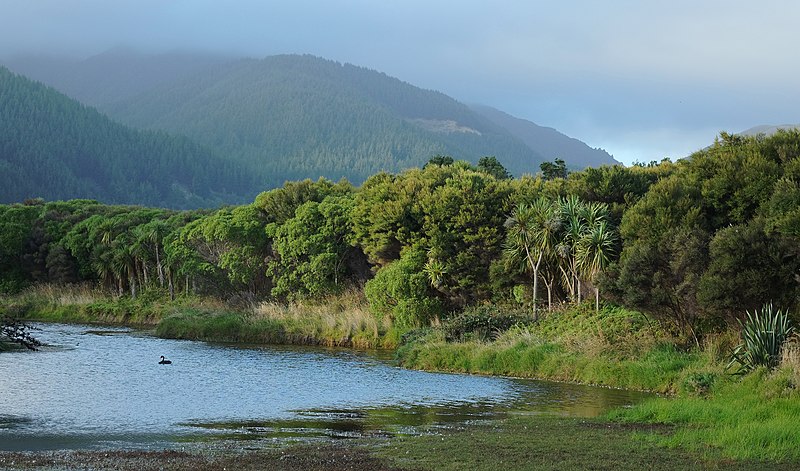 File:Wetland in Queen Elizabeth Park.jpg