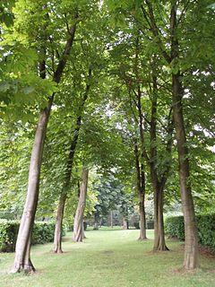 <span class="mw-page-title-main">Whipsnade Tree Cathedral</span> Garden in Bedfordshire