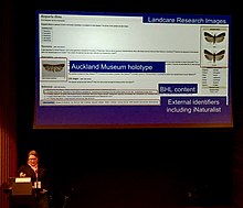 Leachman presenting on her project to describe New Zealand endemic moths at WikiCite 2018 WikiCite 2018 Siobhan Leachman (45227191995).jpg