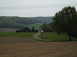 View from Angel House