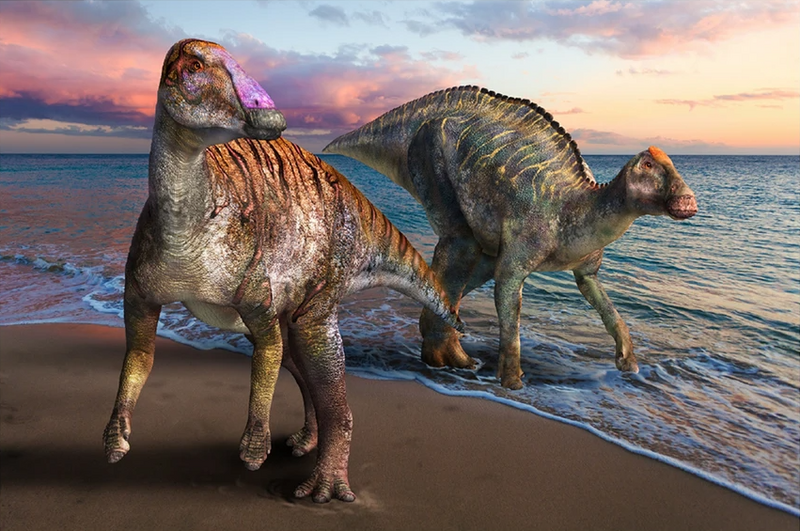 File:Yamatosaurus izanagii restoration.webp