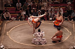 Glossary Of Sumo Terms