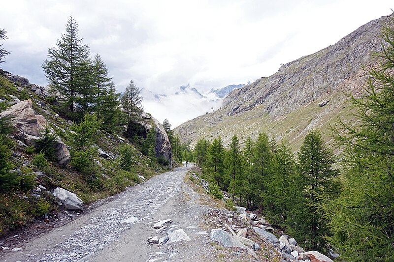 File:Zermatt - trail 6.jpg