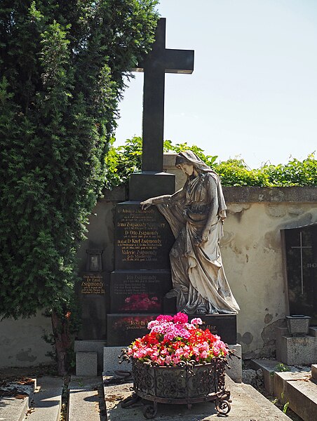 File:Zsigmondy family grave, Vienna, 2018.jpg