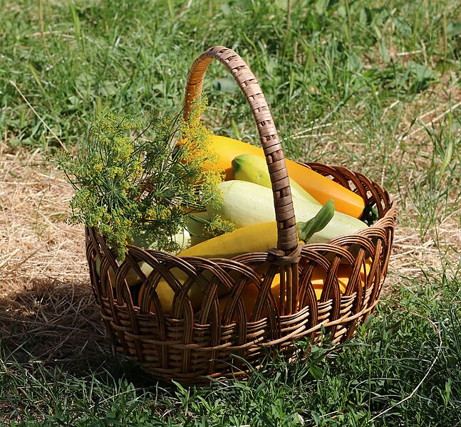 File:Zucchini in basket 2021 G1.jpg