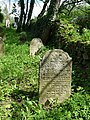 Čeština: Židovský hřbitov ve Stříteži, okres Jihlava. English: Jewish cemetery by the village of Střítež, Jihlava District, Vysočina Region, Czech Republic. This is a photo of a cultural monument of the Czech Republic, number: 37764/7-5233. Památkový katalog  · MIS  · hledat obrázky  · hledat seznamy  · Wikidata