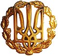 Беретний знак полку (2013-2016 рр.)