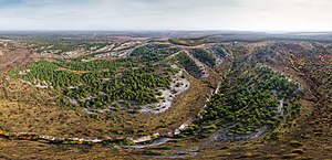 Панорама на Крейдову флору, лисова частина заповiдника.jpg