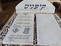 תמונה ממוזערת עבור שי קיפניס