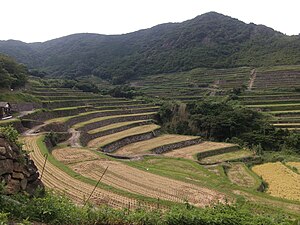 棚田: 日本の棚田, 世界の棚田, 日本の代表的な棚田