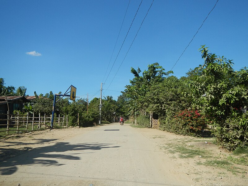 File:04863jfFarm Roads Gulap Santo Rosario Candaba Pampangafvf 22.JPG