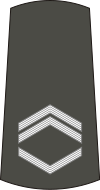 05-Serbian Army-SSG.svg