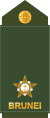 Leftenan muda[3] (Royal Brunei Land Forces)