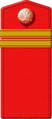 Schouderriem junior onderofficier van de RIA (tot 1917)