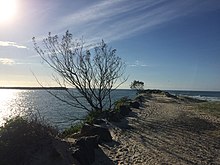 The Richmond River entrance from the Southern Breakwater, April 2019.