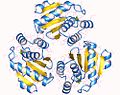 Thumbnail for Protein tyrosine phosphatase