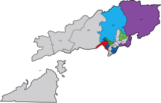 2007 Tsuen Wan District Council election