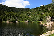 2010-08-21 lacs neuweiher marche 13-48 166.jpg