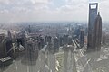 2010 Shanghai, Viewed from Oriental Pearl Tower 08.jpg