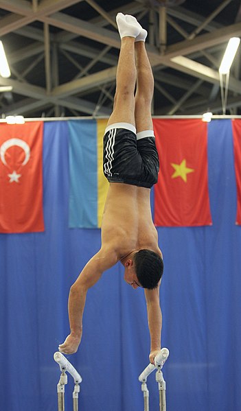 File:2019-05-24 Budapest Cup training parallel bars (Martin Rulsch) 427.jpg