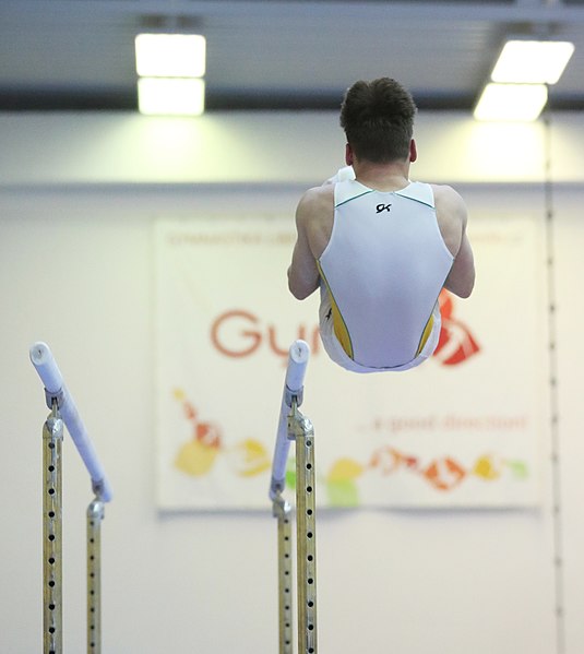 File:2019-11-30 OHC Liberec 2019 MAG Apparatus finals Parallel bars (Martin Rulsch) 056.jpg