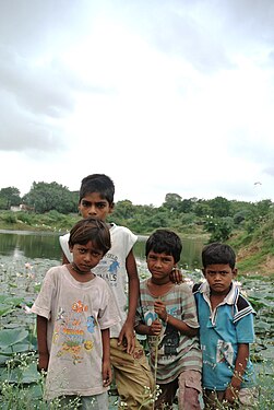 Group of guys gazing of at Pondside near Sevasi village at Vadodara