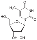 5-methyluridine.svg