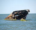 The wreckage of the S.S. Atlantus at Sunset Beach
