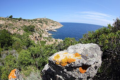 petit port, cape with lighthouse