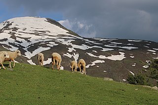 <span class="mw-page-title-main">Pogal Paristan</span> Tehsil in Jammu and Kashmir, India