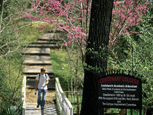 Arboretum Bridge: The Dr. Ed Leuck Academic Arboretum, located in the heart of campus, is home to more than 300 species of plant life. Aboretum Bridge.jpg