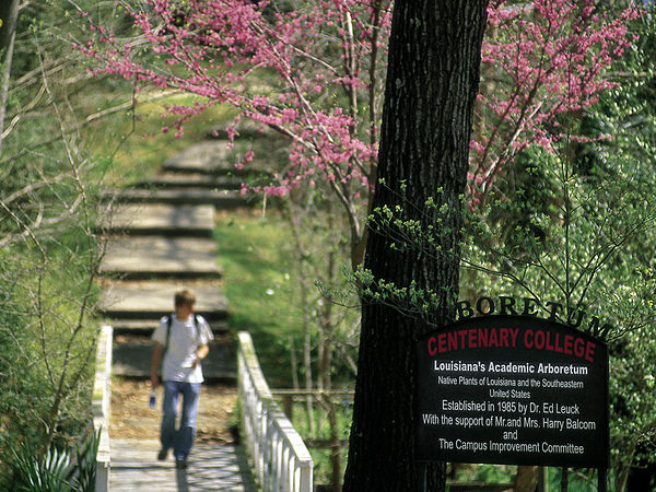 Arboretum Bridge: The Dr. Ed Leuck Academic Arboretum, located in the heart of campus, is home to more than 300 species of plant life.