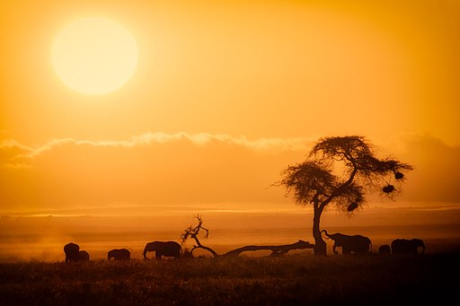 African Sunrise, Amboseli National Park (30385097358)