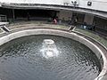 Halte Kota fountain