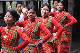 <span class="mw-page-title-main">Ali Ai Ligang</span> Indigenous festival in India