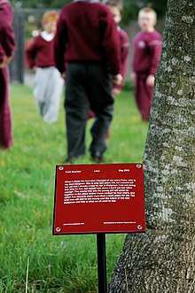 One of the semi-mature sponsored trees with its narrative plaque Amaptocare Jochen Gerz.jpg
