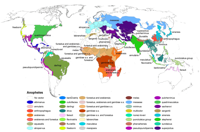 Distribución de Anopheles