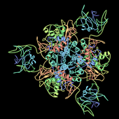 separar carbamoiltransferase