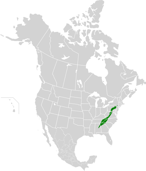 File:Appalachian-Blue Ridge forests map.svg