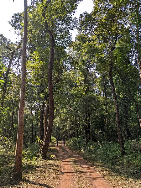 File:Aralam Wildlife Sanctuary during Annual Butterfly Survey 2022 (258).jpg