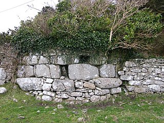 <span class="mw-page-title-main">Ardrahan</span> Village in County Galway, Ireland