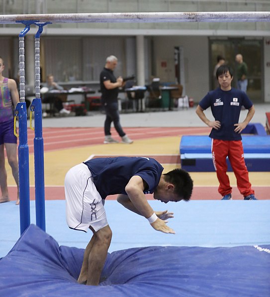 File:Austrian Future Cup 2018-11-23 Training Afternoon Parallel bars (Martin Rulsch) 0171.jpg