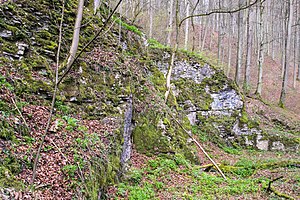 Egge-Nord nature reserve (LP) (April 2016)