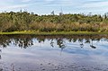 Veenmeertje met aangroeiend hoogveen.