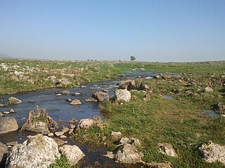 <span class="mw-page-title-main">Yehudiya Forest Nature Reserve</span> Nature reserve in the Golan Heights