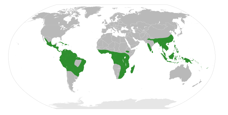 File:Begonia Distribution Map.svg