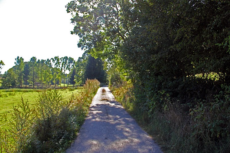 File:Beim Forsthaus Segel - panoramio (1).jpg