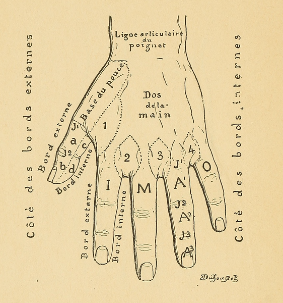 File:Bertillon - Identification anthropométrique (1893) 354.png