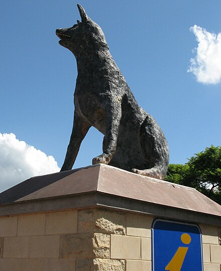 Big Blue Heeler statue