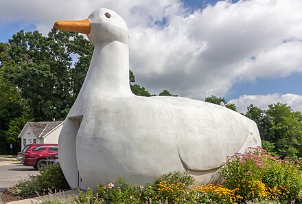 The Big Duck in Flanders, August 2018